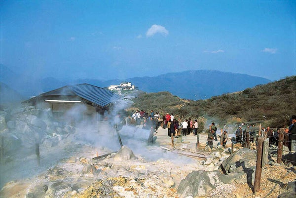 【茨城県内発】 初夏の箱根路ハイライト!箱根あじさい列車・芦ノ湖遊覧船SORAKAZE・大涌谷・箱根神社・山のホテル 小涌谷温泉「箱根ヴェルデの森」宿泊 2日間3